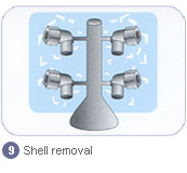 shell removing
